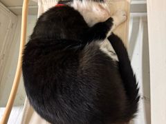 -微光私人影院(巴南万达店)