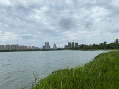 -桐乡凤凰湖