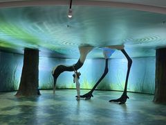 -盐城丹顶鹤湿地生态旅游区