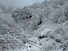 -九峰山