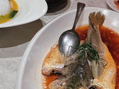 -金美华轩(东方路齐鲁店)