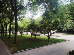 -木塔寺遗址生态公园