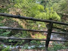 -东天目山风景区