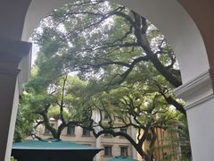 -星巴克臻选(广州沙面店)