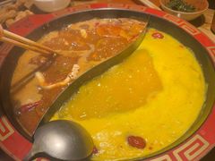 -肚神-金钱肚涮肚火锅(保健路店)