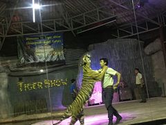 -清迈夜间动物园