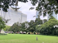 -人民广场