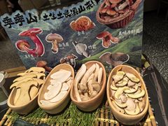 -季季山•云南野生菌火锅(上海首店)