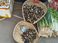 -南坛综合农贸市场