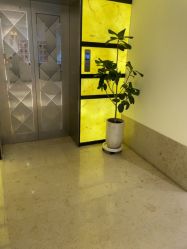 -上海薇琳医疗美容医院