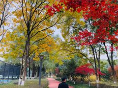 -杭州城北体育公园