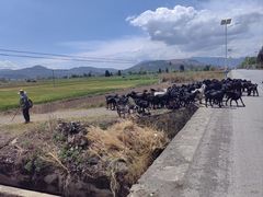 -大理洱源西湖景区
