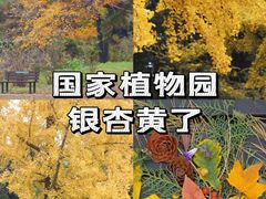 -国家植物园南园