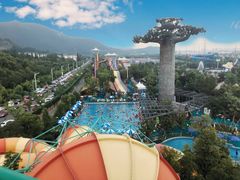 -苏州乐园森林水世界