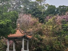 -郑和公园