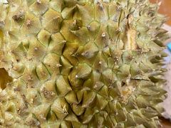 -AEON永旺(东方宝泰店)