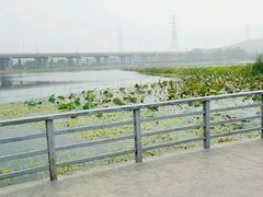 -永定河休闲森林公园