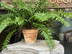 -OGGI TRATTORIA PIZZERIA(深业上城店)