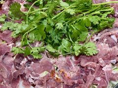 -古彭7只羊·招牌白串·碳锅羊肉旗舰店