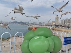 -星海广场