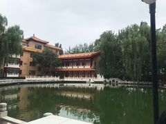 -新川办餐厅