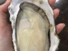 -蚝专家(北滘店)