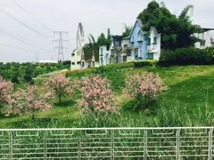 -紫颐香薰山谷景区