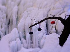 -黑龙潭风景区