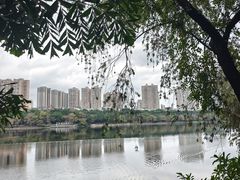 -南宁南湖公园