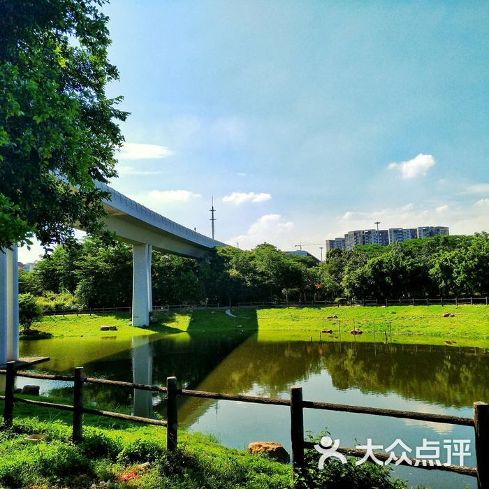 广州金沙洲绿心公园图片
