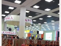 -谢列梅捷沃国际机场