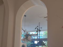 -春树下·树屋花房西餐厅(罍街AS1980店)