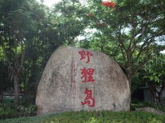 -野狸岛