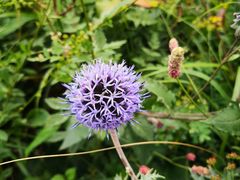 -白草畔自然风景区