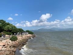 -深圳湾公园(南山区)