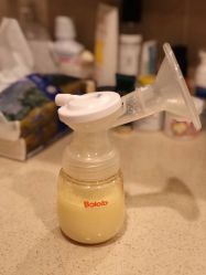 -海豚湾高端月子会所(黄浦店)