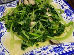 香菇青菜-九炉分座(个园店)