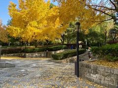 -苏州河梦清园环保主题公园