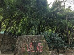 -大雁山风景区