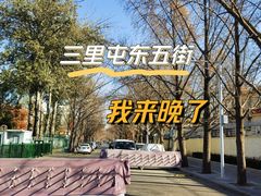 -三里屯东五街银杏大道