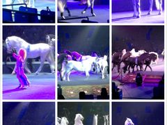 -珠海横琴长隆《卡卡虎奇遇记》