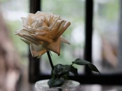 -Uncle Kosto科斯托·中东菜