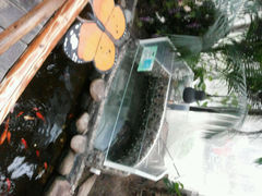 android_upload_pic-上海大自然野生昆虫馆