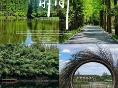 -东平国家森林公园
