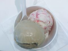-哈根达斯(石家庄北国店)