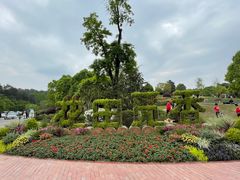 -铁山坪森林公园