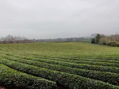 -敬亭山风景名胜区