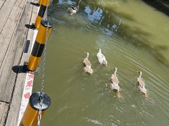 -金庭庄园酒店-停车场