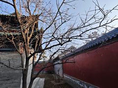 -盐池神庙