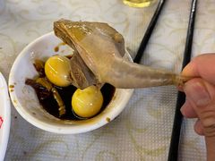 -百利鸽王(紫薇路店)